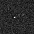 2020lsa_image