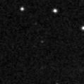 2020lsg_image