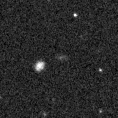 2020lsr_image
