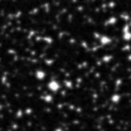 2020lsy_image