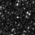 2020ltm_image