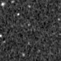 2020lu_image