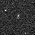 2020lws_image