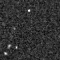 2020lwt_image