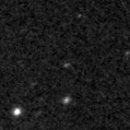 2020lxn_image