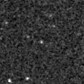 2020lyb_image