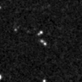 2020lyc_image