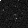2020mds_image