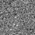 2020mep_image