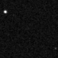2020mer_image