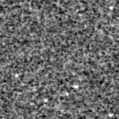 2020mfb_image