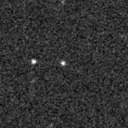 2020mlc_image