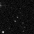 2020mlf_image
