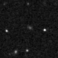 2020mlt_image