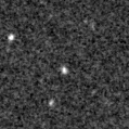 2020mnj_image