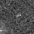 2020mnp_image