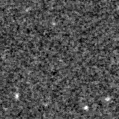 2020moq_image