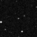 2020msa_image