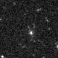 2020msj_image