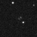 2020msz_image
