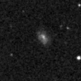 2020mt_image