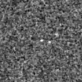 2020mvd_image