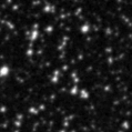 2020nc_image