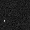 2020ndf_image