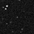 2020ndo_image