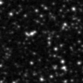 2020neq_image