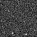 2020net_image