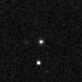 2020nlm_image