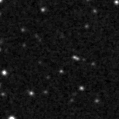 2020nnj_image