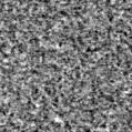2020nsl_image