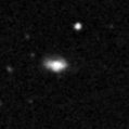2020nvc_image