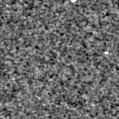 2020nwl_image
