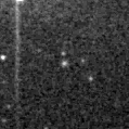 2020nzv_image