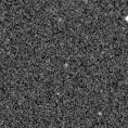 2020ocr_image
