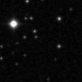 2020opz_image