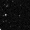 2020orn_image