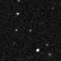 2020ovm_image