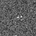 2020pbp_image