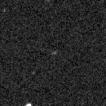 2020pex_image