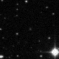 2020pfa_image