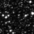 2020plb_image