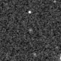 2020pnb_image