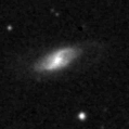2020pni_image