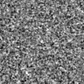 2020ppm_image