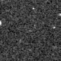 2020pth_image