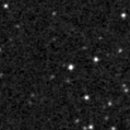 2020pyp_image